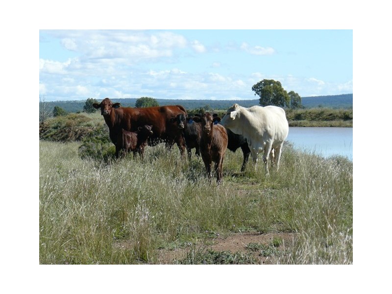 ” Rockdale”, Moree NSW 2400