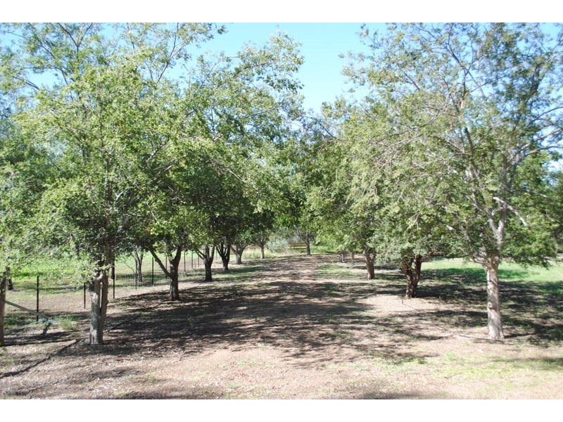 39 Bendygleet Road, Moree NSW 2400