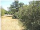 Moree NSW 2400