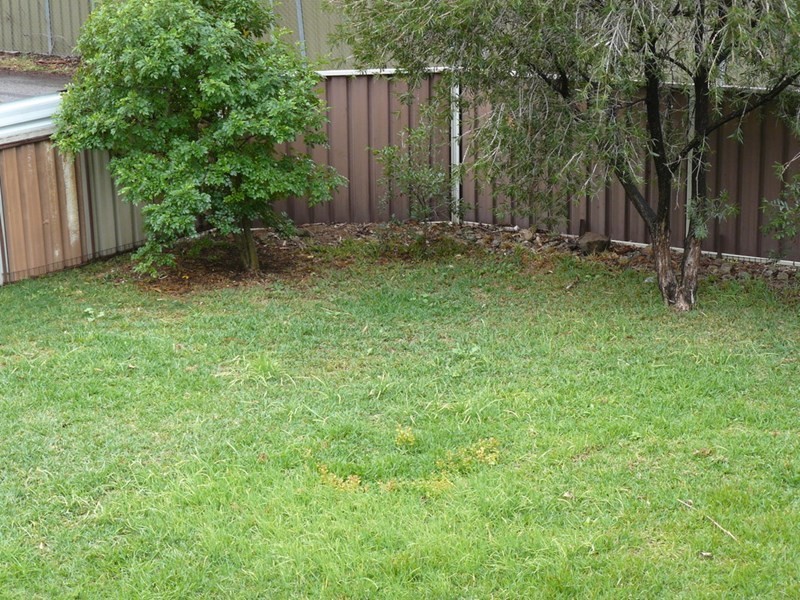 39 Gwydir Street, Moree NSW 2400