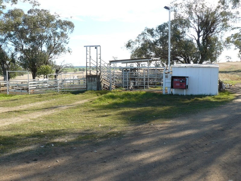 ” Burmah”, Graman NSW 2360