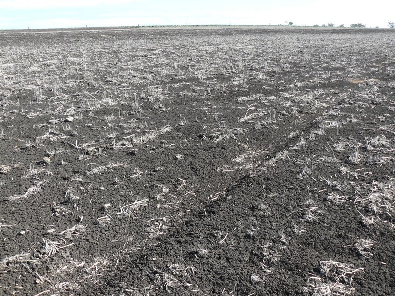 ” Burmah”, Graman NSW 2360