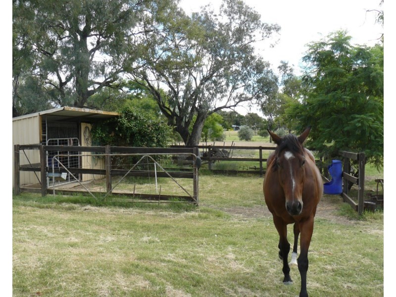 21 Tirzah Street, Moree NSW 2400