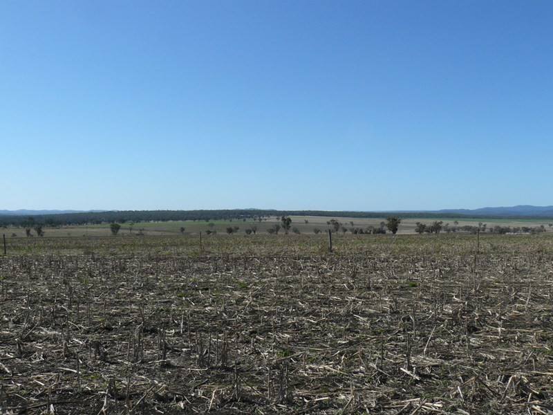 ” Colomie”, Wallangra NSW 2360