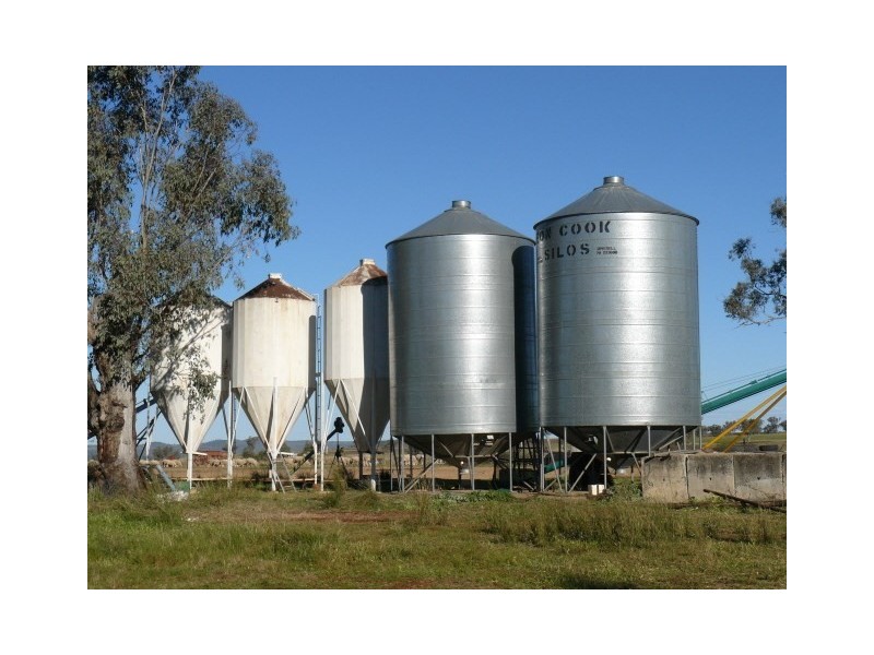 ” Colomie”, Wallangra NSW 2360