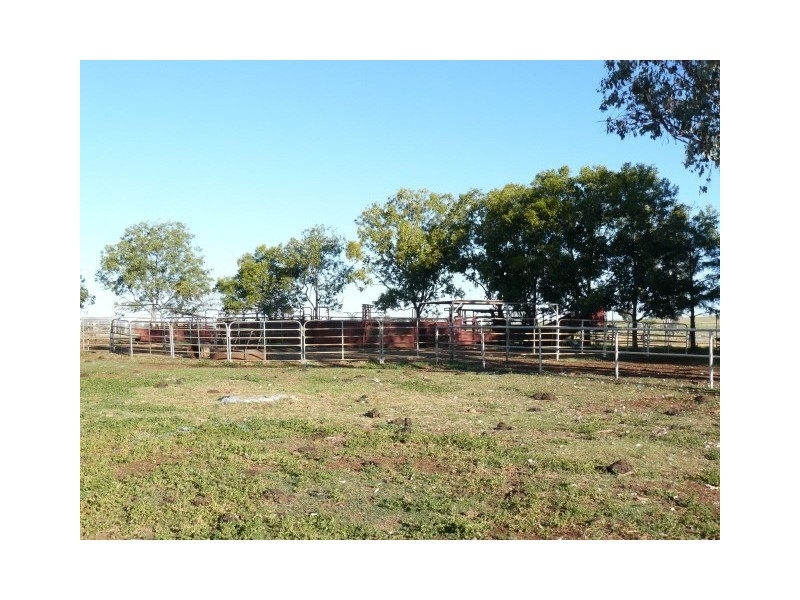 ” Colomie”, Wallangra NSW 2360