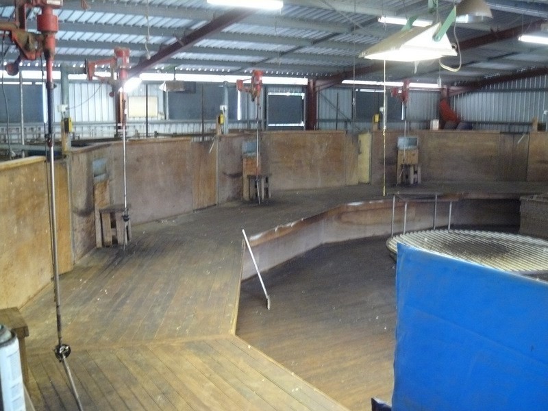 ” Boyanga”, Mungindi NSW 2406