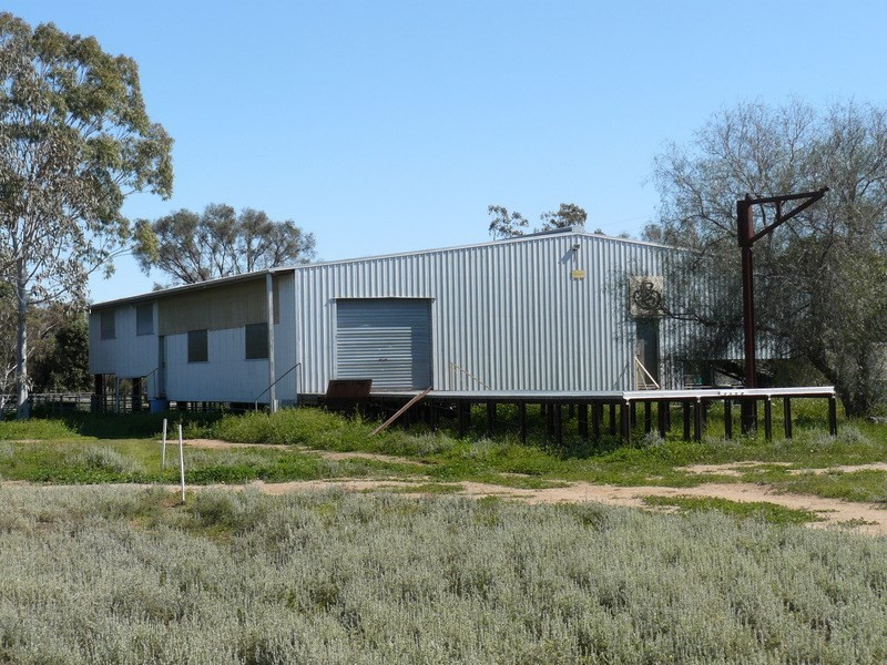 ” Boyanga”, Mungindi NSW 2406