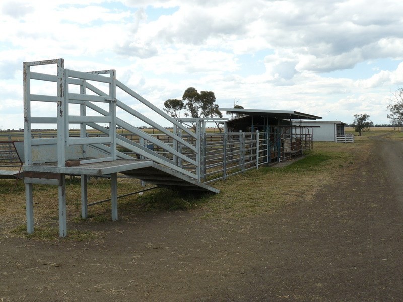 ” Golonga”, Croppa Creek NSW 2411