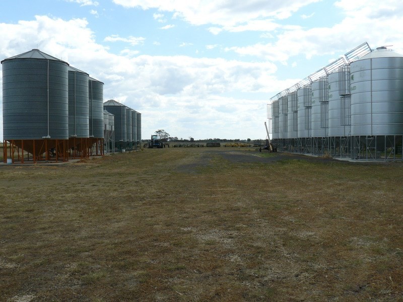 ” Golonga”, Croppa Creek NSW 2411