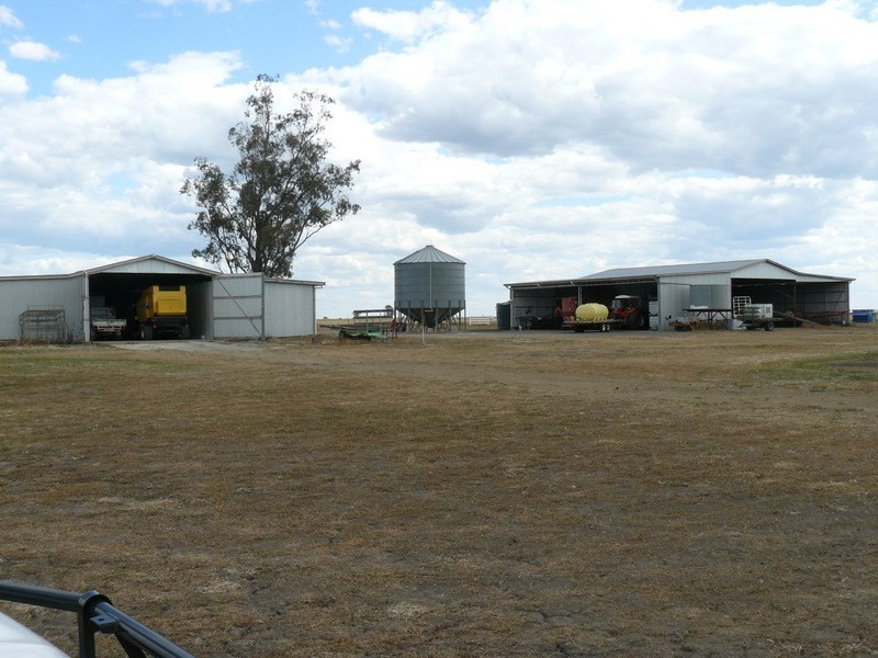 ” Golonga”, Croppa Creek NSW 2411