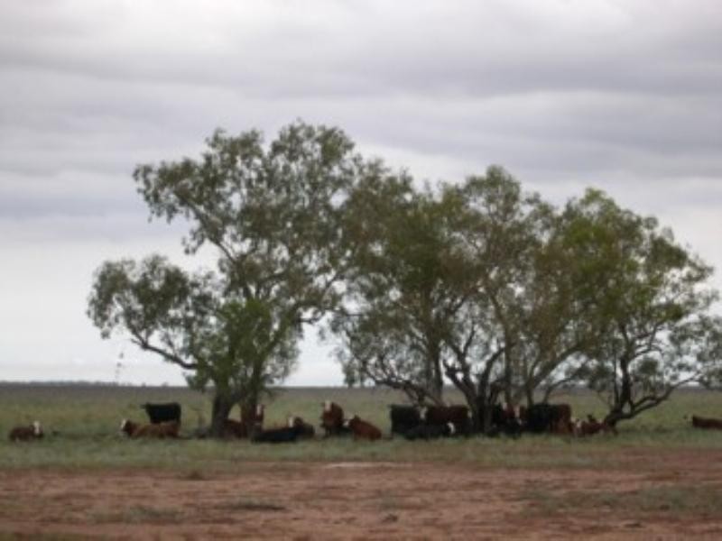 Moree NSW 2400