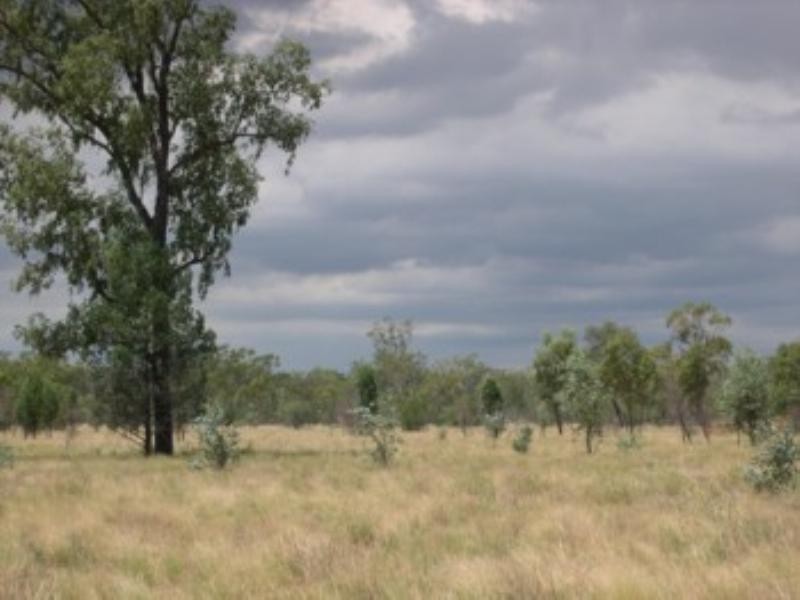 Moree NSW 2400