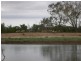 Moree NSW 2400