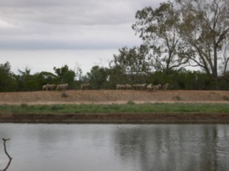 Moree NSW 2400