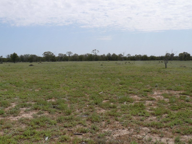 ” Bogibel/Kareelah”, Collarenebri NSW 2833