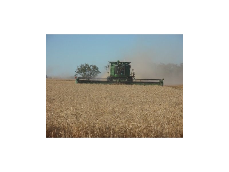 ” Bogibel/Kareelah”, Collarenebri NSW 2833