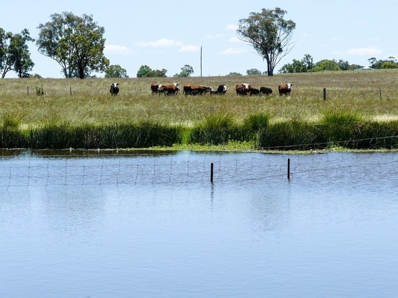 ” Torvale”, Inverell NSW 2360
