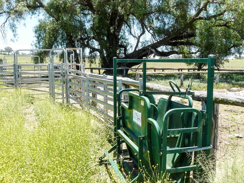 ” Torvale”, Inverell NSW 2360