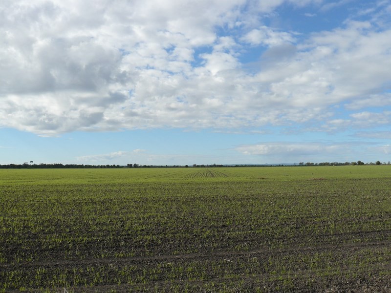 1 Part Krowa, Moree NSW 2400