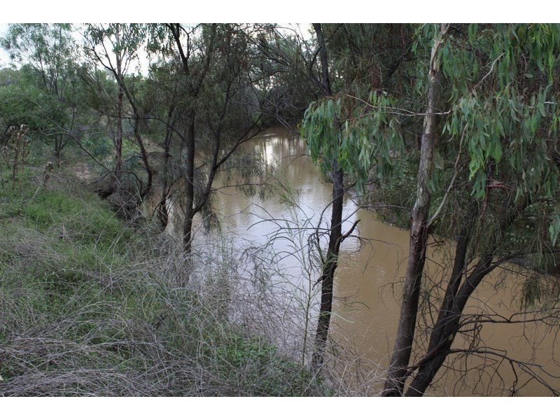 ” Burr Island”, Moree NSW 2400