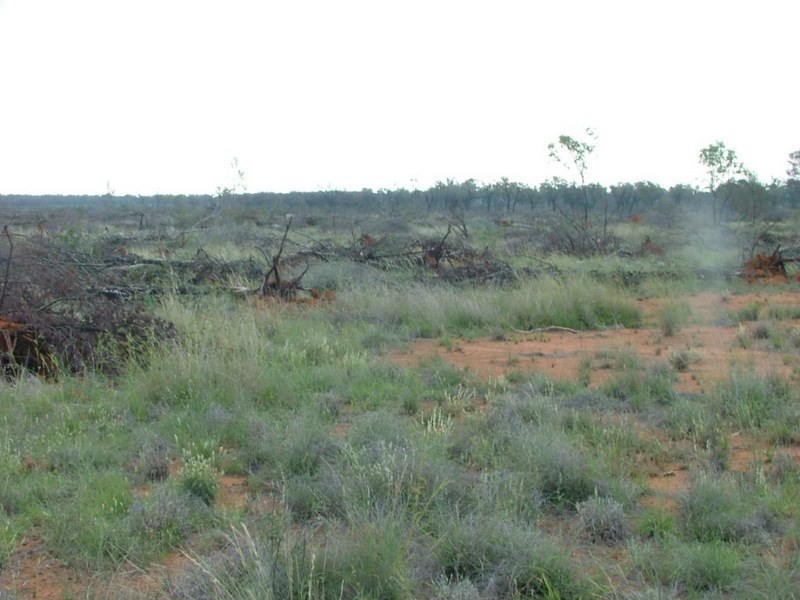 ” Wandella”, Lightning Ridge NSW 2834