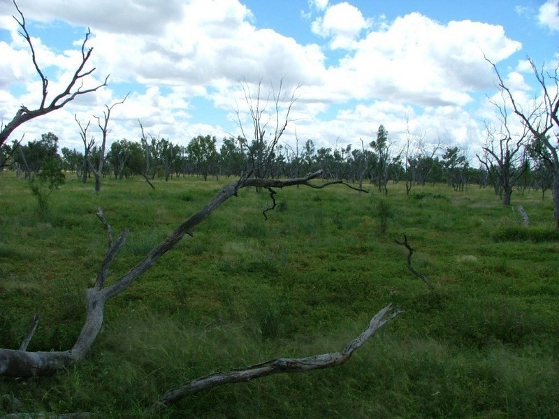 ” Wandella”, Lightning Ridge NSW 2834