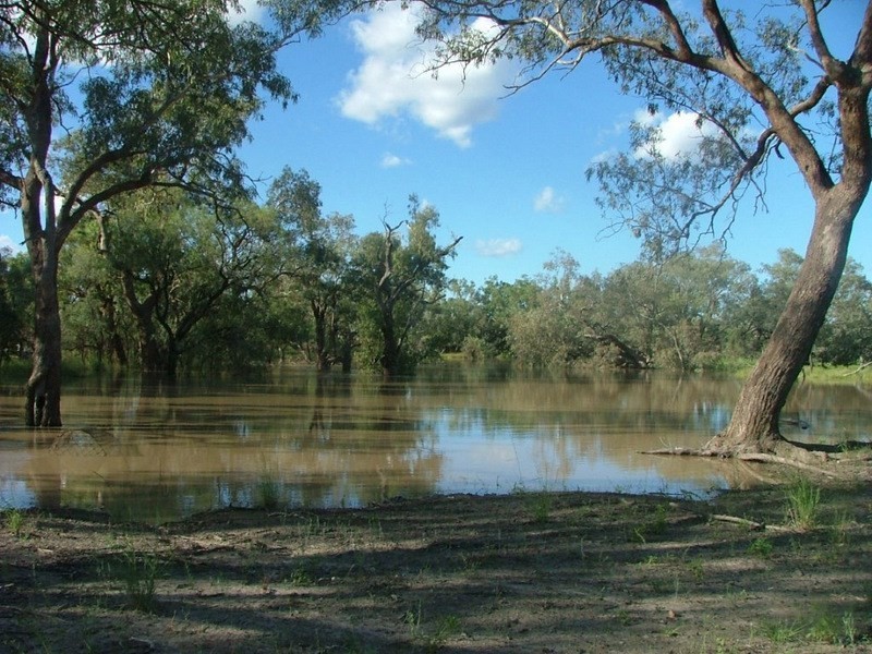 ” Wandella”, Lightning Ridge NSW 2834