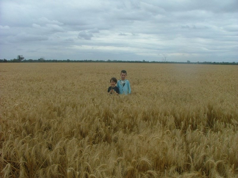 ” Wandella”, Lightning Ridge NSW 2834