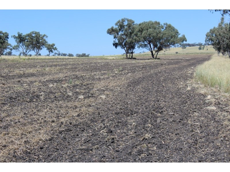 ” Ponderosa”, Warialda NSW 2402
