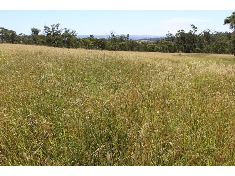 ” Ponderosa”, Warialda NSW 2402