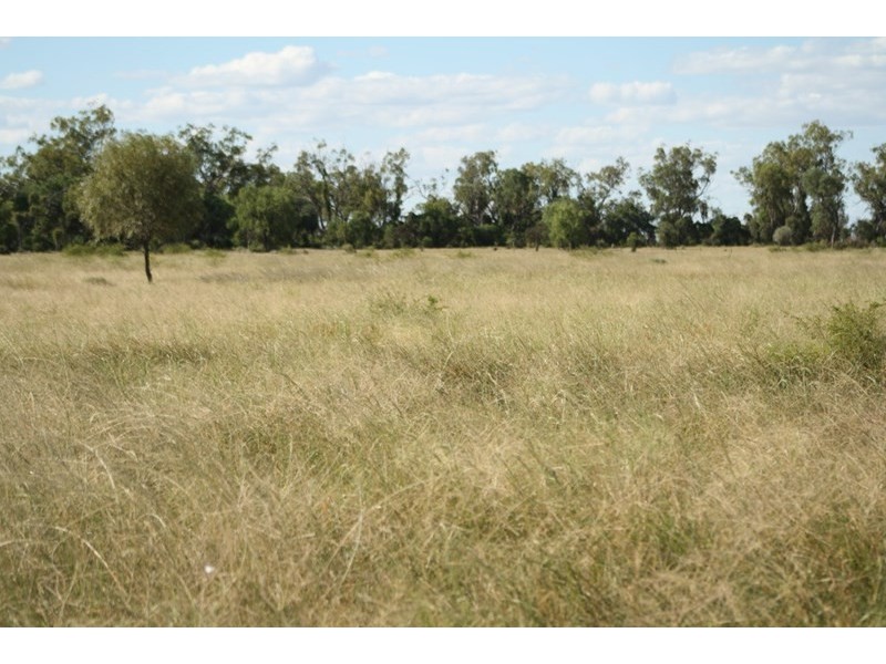 ” Neringla”, Moree NSW 2400