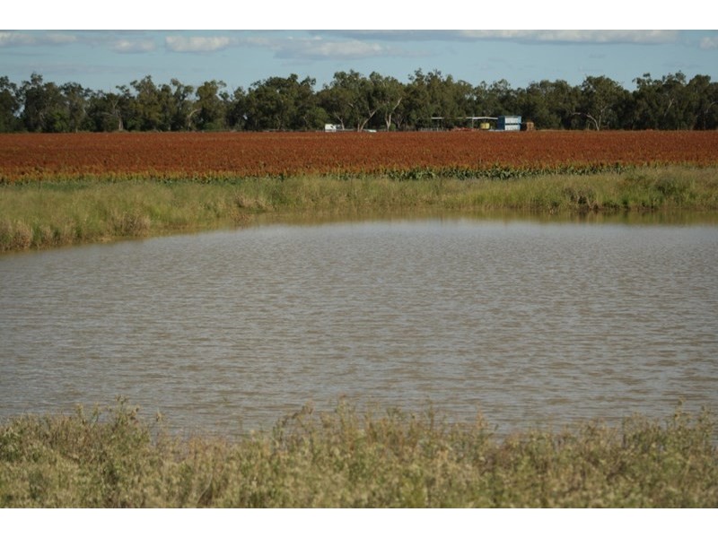 ” Neringla”, Moree NSW 2400