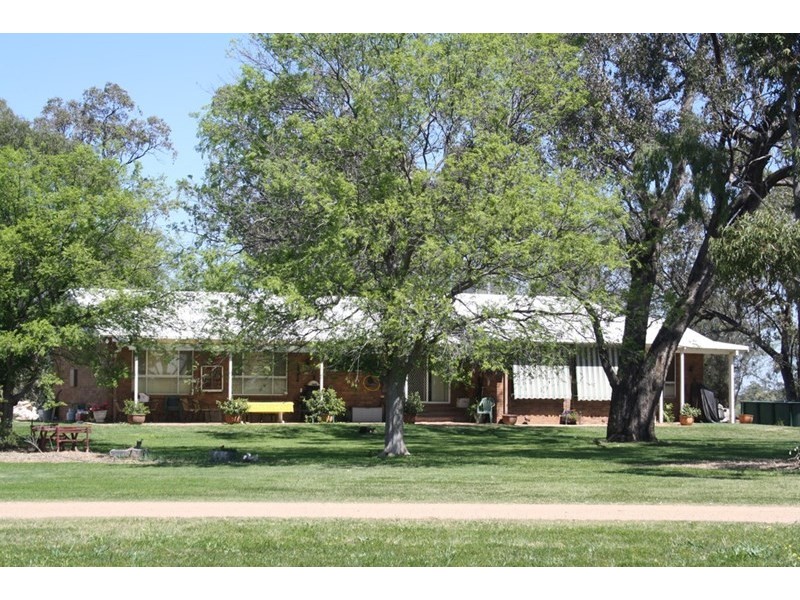 ” Neringla”, Moree NSW 2400