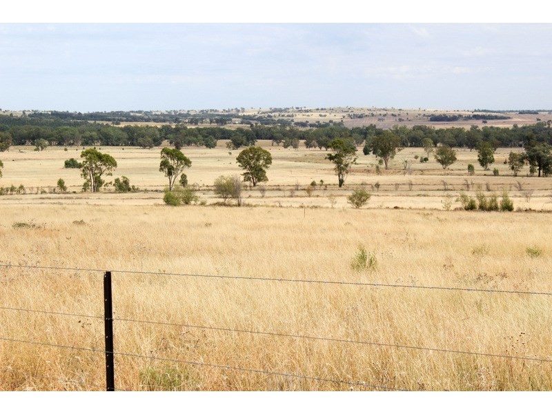 ” Irragappa, Bellata NSW 2397