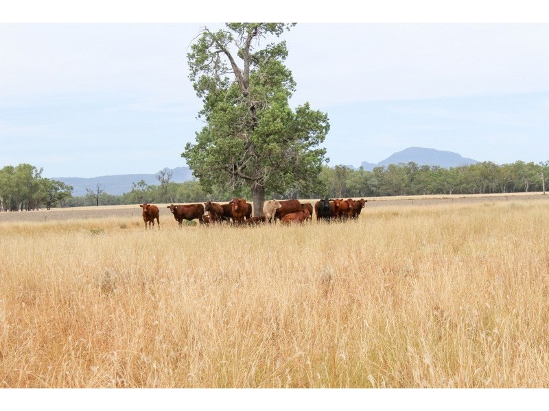 ” Irragappa, Bellata NSW 2397