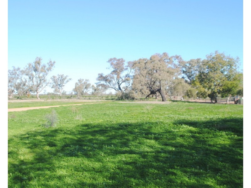 67 River Street, Moree NSW 2400