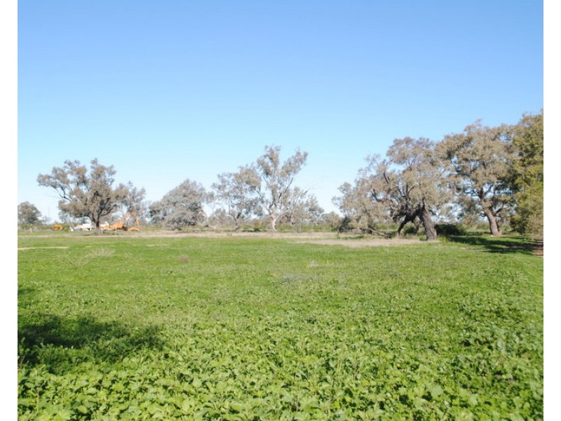 67 River Street, Moree NSW 2400