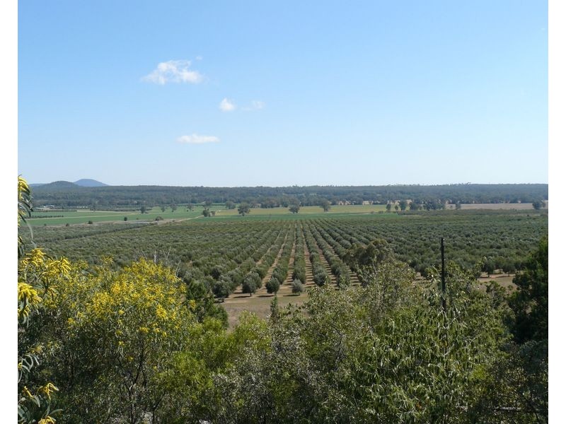 ” Eden Valley”, Moree NSW 2400