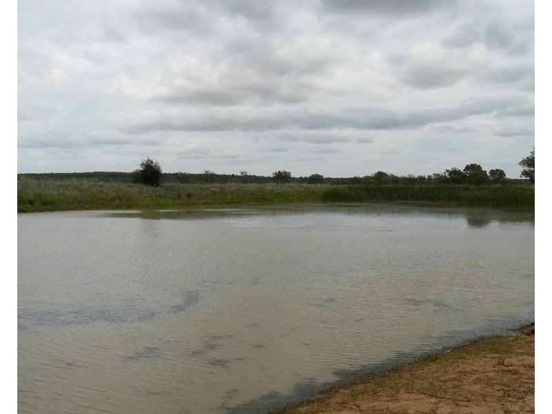 ” Eden Valley”, Moree NSW 2400