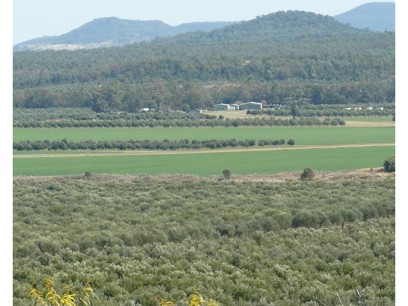 ” Eden Valley”, Moree NSW 2400
