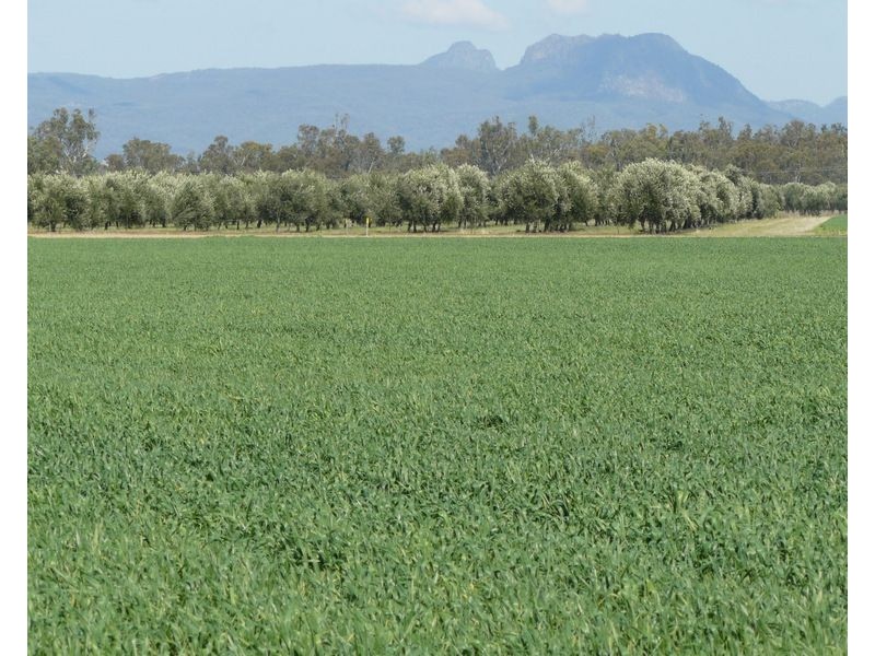” Eden Valley”, Moree NSW 2400
