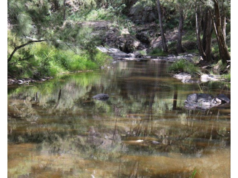 ” Coghlan”, Weabonga NSW 2340