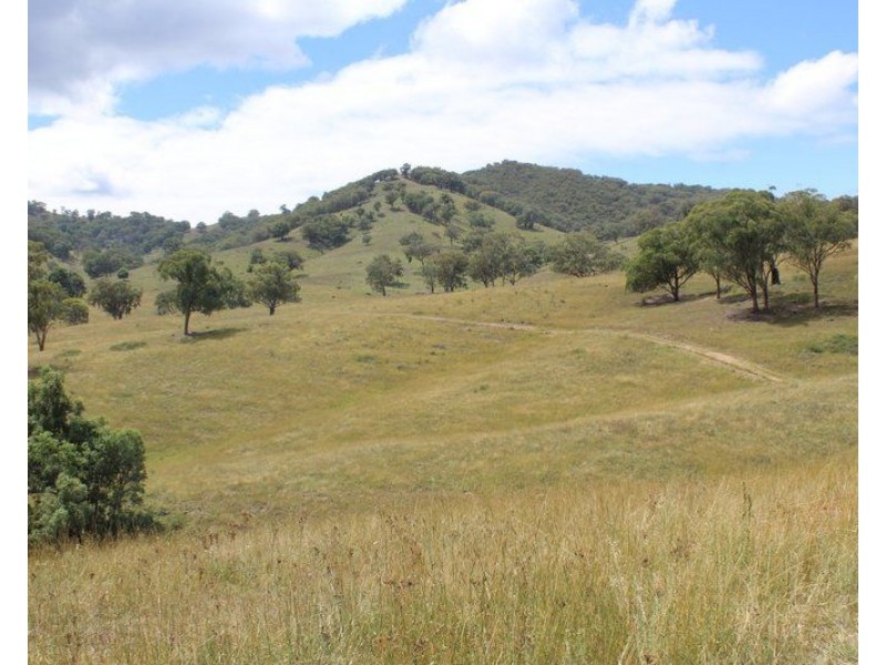 ” Coghlan”, Weabonga NSW 2340