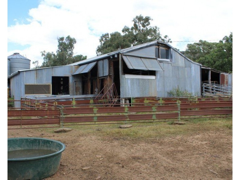 ” Coghlan”, Weabonga NSW 2340