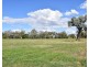 360 Mungindi Road, Moree NSW 2400