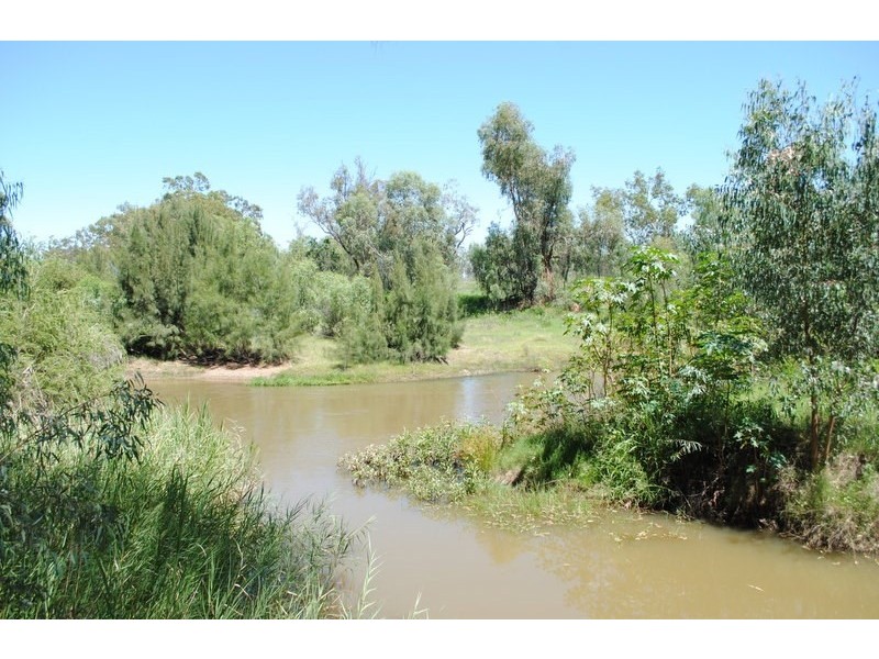 51 River Street, Moree NSW 2400