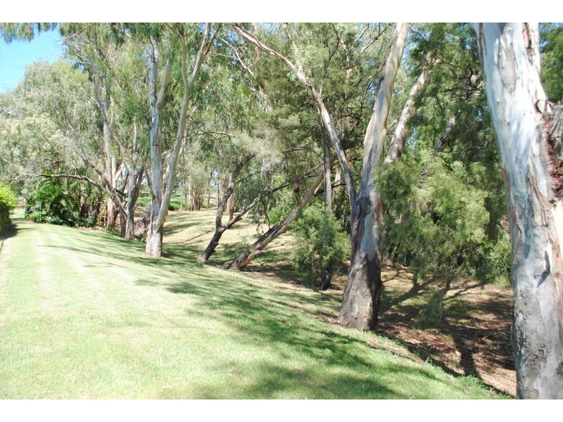51 River Street, Moree NSW 2400