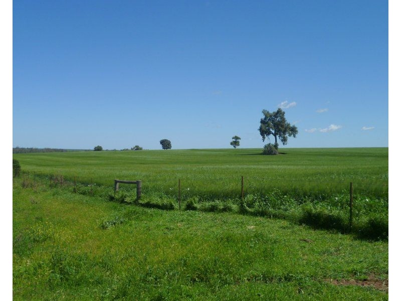 Crooble NSW 2400