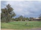 Moree NSW 2400